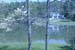 view from deck spring6
